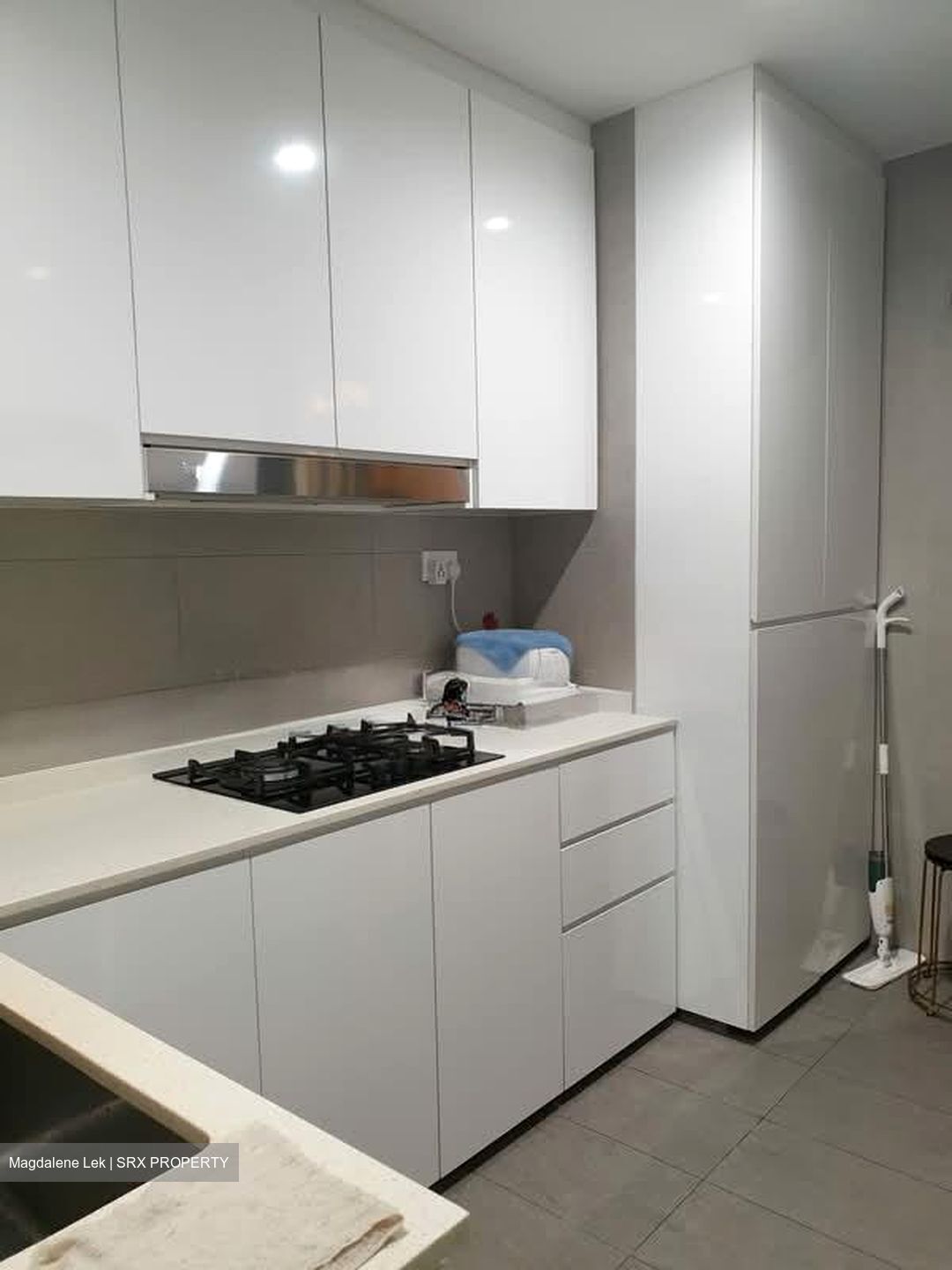 Ville Royale (D9), Condominium #551493451